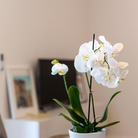 Apartment Ivi טרוגיר מראה חיצוני תמונה
